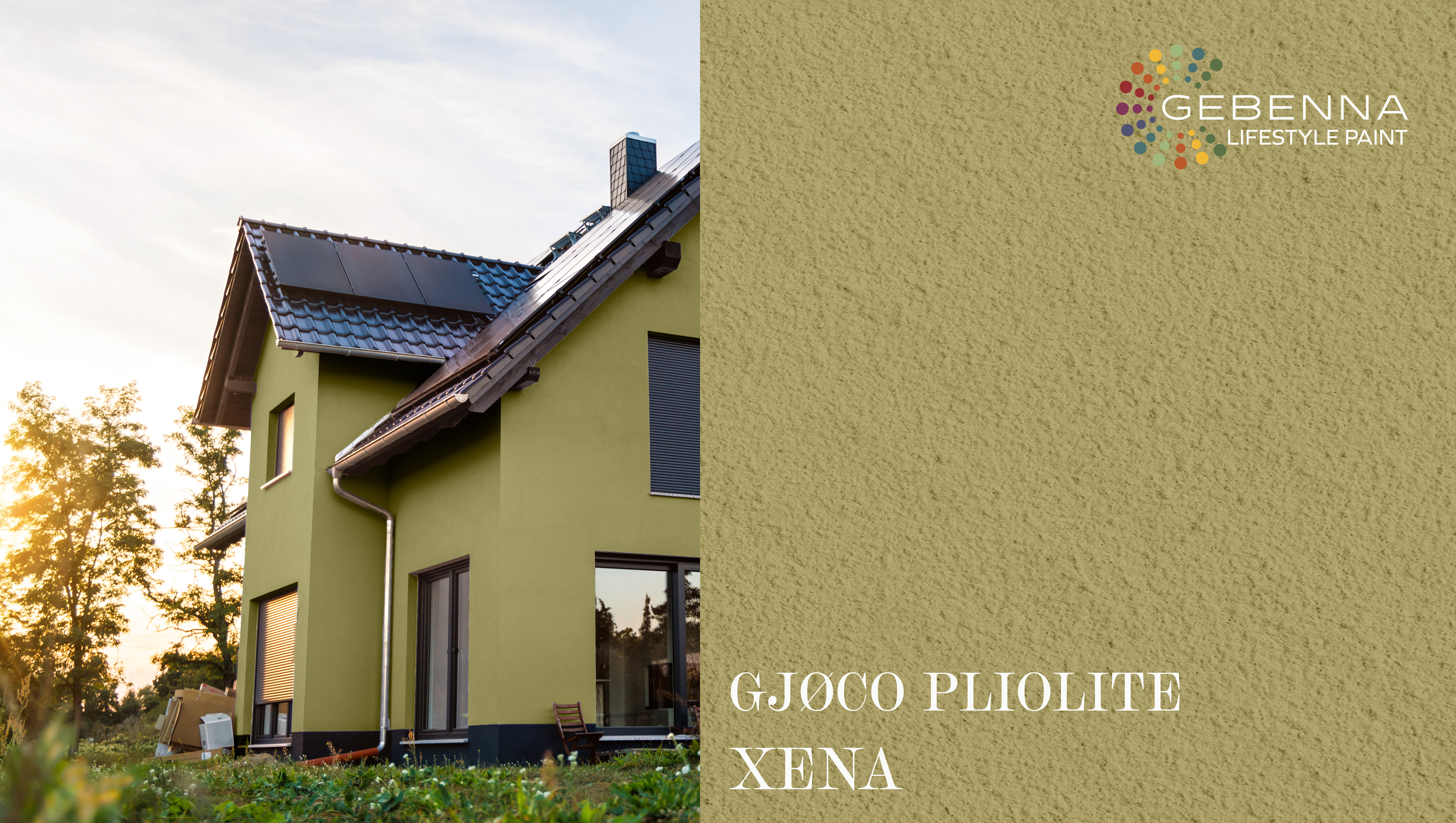 PLIOLITE FARVEKORT XENA.jpg